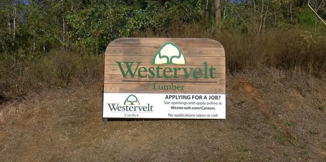 Trabajador muere en accidente industrial en Westervelt Lumber