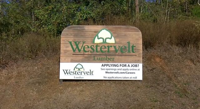 Trabajador muere en accidente industrial en Westervelt Lumber Trabajador muere en accidente industrial en Westervelt Lumber