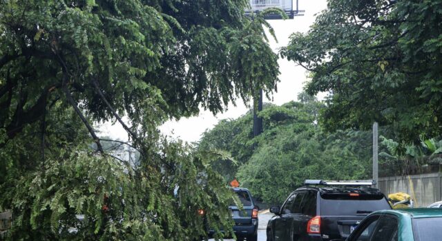Alerta amarilla y verde en Honduras por lluvias de vaguada en todo el territorio Alerta amarilla y verde en Honduras por lluvias de vaguada en todo el territorio