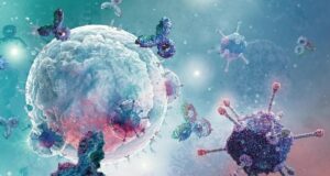 Científicos potencian sistema inmunológico para impedir el retorno del cáncer Científicos potencian sistema inmunológico para impedir el retorno del cáncer