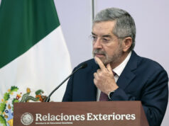 Diez mexicanos murieron en operativos ó custodia del ICE en Estados Unidos Diez mexicanos murieron en operativos ó custodia del ICE en Estados Unidos