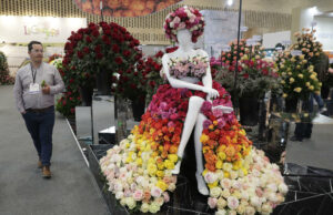 La muestra de flores más grande de América inicia en Bogotá con más de 1.500 compradores La muestra de flores más grande de América inicia en Bogotá con más de 1.500 compradores