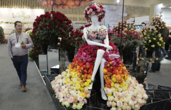 La muestra de flores más grande de América inicia en Bogotá con más de 1.500 compradores La muestra de flores más grande de América inicia en Bogotá con más de 1.500 compradores