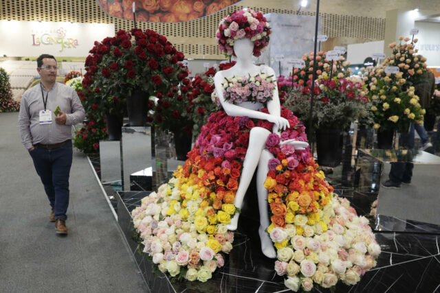 La muestra de flores más grande de América inicia en Bogotá con más de 1.500 compradores
