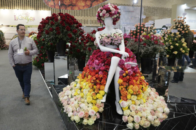 La muestra de flores más grande de América inicia en Bogotá con más de 1.500 compradores La muestra de flores más grande de América inicia en Bogotá con más de 1.500 compradores