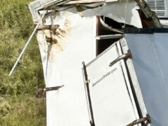 Mono de laboratorio escapa en Misisipi tras accidente de un camión en EE.UU. Mono de laboratorio escapa en Misisipi tras accidente de un camión en EE.UU.