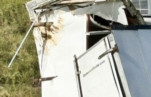 Mono de laboratorio escapa en Misisipi tras accidente de un camión en EE.UU. Mono de laboratorio escapa en Misisipi tras accidente de un camión en EE.UU.