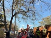 1 muerto en accidente en Center Point, Chalkville School Road cerrado por “período prolongado” 1 muerto en accidente en Center Point, Chalkville School Road cerrado por “período prolongado”