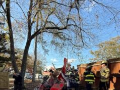 1 muerto en accidente en Center Point, Chalkville School Road cerrado por “período prolongado” 1 muerto en accidente en Center Point, Chalkville School Road cerrado por “período prolongado”