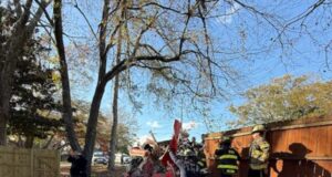 1 muerto en accidente en Center Point, Chalkville School Road cerrado por “período prolongado” 1 muerto en accidente en Center Point, Chalkville School Road cerrado por “período prolongado”