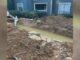Apartamento en Hoover sin agua corriente en Acción de Gracias Apartamento en Hoover sin agua corriente en Acción de Gracias