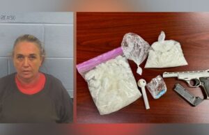 Mujer del norte de Alabama enfrenta cargos por narcotráfico en el condado de Etowah Mujer del norte de Alabama enfrenta cargos por narcotráfico en el condado de Etowah