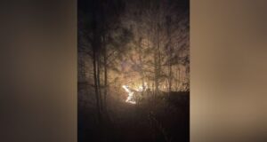 Múltiples unidades combaten incendio forestal en el condado de Talladega Múltiples unidades combaten incendio forestal en el condado de Talladega