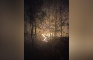 Múltiples unidades combaten incendio forestal en el condado de Talladega Múltiples unidades combaten incendio forestal en el condado de Talladega