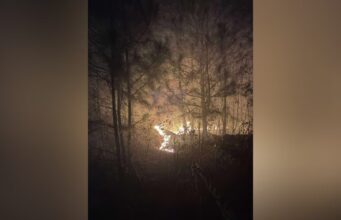 Múltiples unidades combaten incendio forestal en el condado de Talladega Múltiples unidades combaten incendio forestal en el condado de Talladega