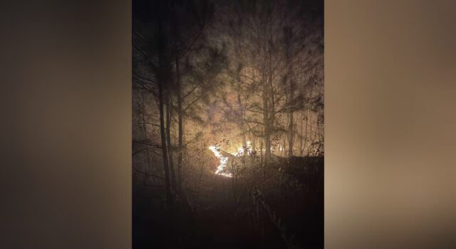 Múltiples unidades combaten incendio forestal en el condado de Talladega Múltiples unidades combaten incendio forestal en el condado de Talladega