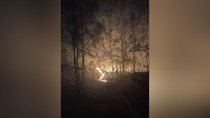 Múltiples unidades combaten incendio forestal en el condado de Talladega Múltiples unidades combaten incendio forestal en el condado de Talladega