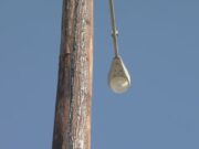 Nuevos postes de luz a lo largo de la autopista 31 en Pelham Nuevos postes de luz a lo largo de la autopista 31 en Pelham