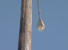 Nuevos postes de luz a lo largo de la autopista 31 en Pelham Nuevos postes de luz a lo largo de la autopista 31 en Pelham