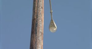 Nuevos postes de luz a lo largo de la autopista 31 en Pelham Nuevos postes de luz a lo largo de la autopista 31 en Pelham