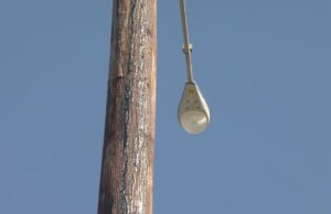 Nuevos postes de luz a lo largo de la autopista 31 en Pelham Nuevos postes de luz a lo largo de la autopista 31 en Pelham