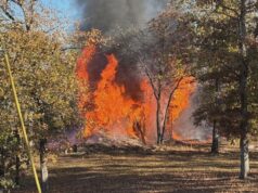 Quemas en Calera eliminan zonas antiestéticas, creando espacio para el desarrollo Quemas en Calera eliminan zonas antiestéticas, creando espacio para el desarrollo