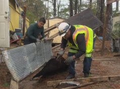 Voluntarios ayudan a familia de Fultondale tras caída de árbol Voluntarios ayudan a familia de Fultondale tras caída de árbol