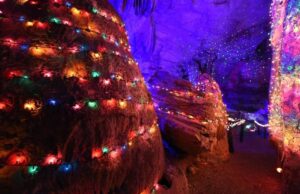 ‘Wonderland Under Warrior’ vuelve a Rickwood Caverns para Navidad 2025 'Wonderland Under Warrior' vuelve a Rickwood Caverns para Navidad 2025