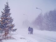 EEUU termina 2025 bajo una potente tormenta de nieve y lluvia helada EEUU termina 2025 bajo una potente tormenta de nieve y lluvia helada