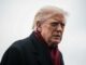 Trump Media llega a acuerdo “amigable” con cofundadores tras demanda por acciones Trump Media llega a acuerdo "amigable" con cofundadores tras demanda por acciones