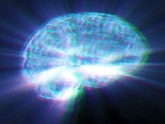 30.000 escaneos cerebrales revelan un peligro oculto en los alimentos ultraprocesados 30.000 escaneos cerebrales revelan un peligro oculto en los alimentos ultraprocesados