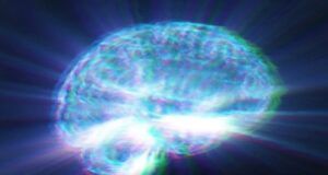 30.000 escaneos cerebrales revelan un peligro oculto en los alimentos ultraprocesados 30.000 escaneos cerebrales revelan un peligro oculto en los alimentos ultraprocesados