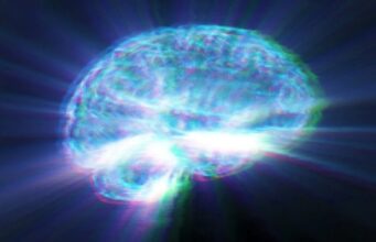 30.000 escaneos cerebrales revelan un peligro oculto en los alimentos ultraprocesados 30.000 escaneos cerebrales revelan un peligro oculto en los alimentos ultraprocesados