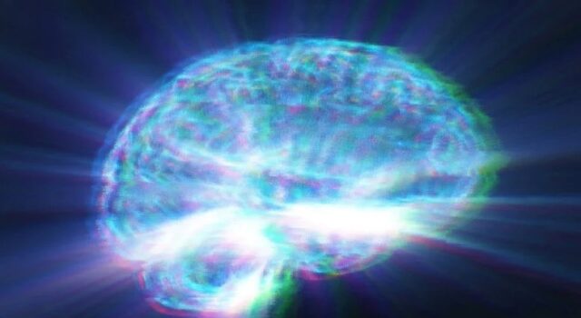 30.000 escaneos cerebrales revelan un peligro oculto en los alimentos ultraprocesados 30.000 escaneos cerebrales revelan un peligro oculto en los alimentos ultraprocesados