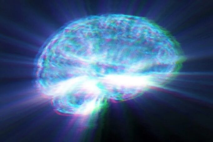 30.000 escaneos cerebrales revelan un peligro oculto en los alimentos ultraprocesados 30.000 escaneos cerebrales revelan un peligro oculto en los alimentos ultraprocesados