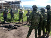 Ejército ecuatoriano abate a dos presuntos guerrilleros durante enfrentamiento en frontera colombiana Ejército ecuatoriano abate a dos presuntos guerrilleros durante enfrentamiento en frontera colombiana