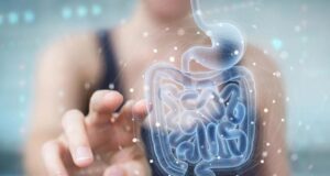 Una pequeña molécula del intestino podría revolucionar el tratamiento para la diabetes Una pequeña molécula del intestino podría revolucionar el tratamiento para la diabetes