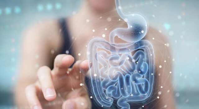 Una pequeña molécula del intestino podría revolucionar el tratamiento para la diabetes Una pequeña molécula del intestino podría revolucionar el tratamiento para la diabetes