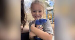 Alerta de Emergencia por Desaparición de Niño de 4 años en Jasper Alerta de Emergencia por Desaparición de Niño de 4 años en Jasper