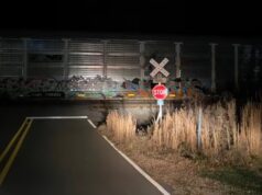 Vagones de tren bloquean cruces en los condados de Walker y Winston Vagones de tren bloquean cruces en los condados de Walker y Winston