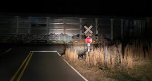 Vagones de tren bloquean cruces en los condados de Walker y Winston Vagones de tren bloquean cruces en los condados de Walker y Winston