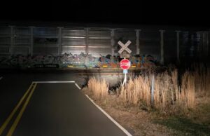 Vagones de tren bloquean cruces en los condados de Walker y Winston Vagones de tren bloquean cruces en los condados de Walker y Winston