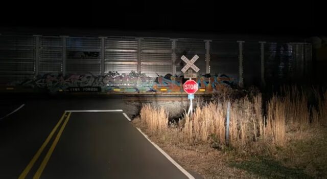 Vagones de tren bloquean cruces en los condados de Walker y Winston Vagones de tren bloquean cruces en los condados de Walker y Winston