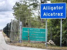 AI denuncia “tortura en jaulas” y “desapariciones” en centros migratorios de Florida AI denuncia "tortura en jaulas" y "desapariciones" en centros migratorios de Florida