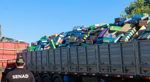 Casi 89 toneladas de droga incautadas en Paraguay tenían a Brasil como destino Casi 89 toneladas de droga incautadas en Paraguay tenían a Brasil como destino