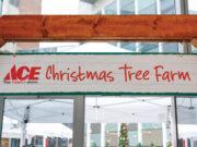 Children’s of Alabama abre granja de árboles para pacientes Children's of Alabama abre granja de árboles para pacientes