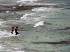 México advierte sobre seis playas no aptas para nadar esta temporada vacacional México advierte sobre seis playas no aptas para nadar esta temporada vacacional