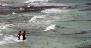 México advierte sobre seis playas no aptas para nadar esta temporada vacacional México advierte sobre seis playas no aptas para nadar esta temporada vacacional