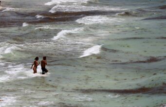 México advierte sobre seis playas no aptas para nadar esta temporada vacacional México advierte sobre seis playas no aptas para nadar esta temporada vacacional