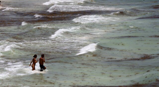 México advierte sobre seis playas no aptas para nadar esta temporada vacacional México advierte sobre seis playas no aptas para nadar esta temporada vacacional